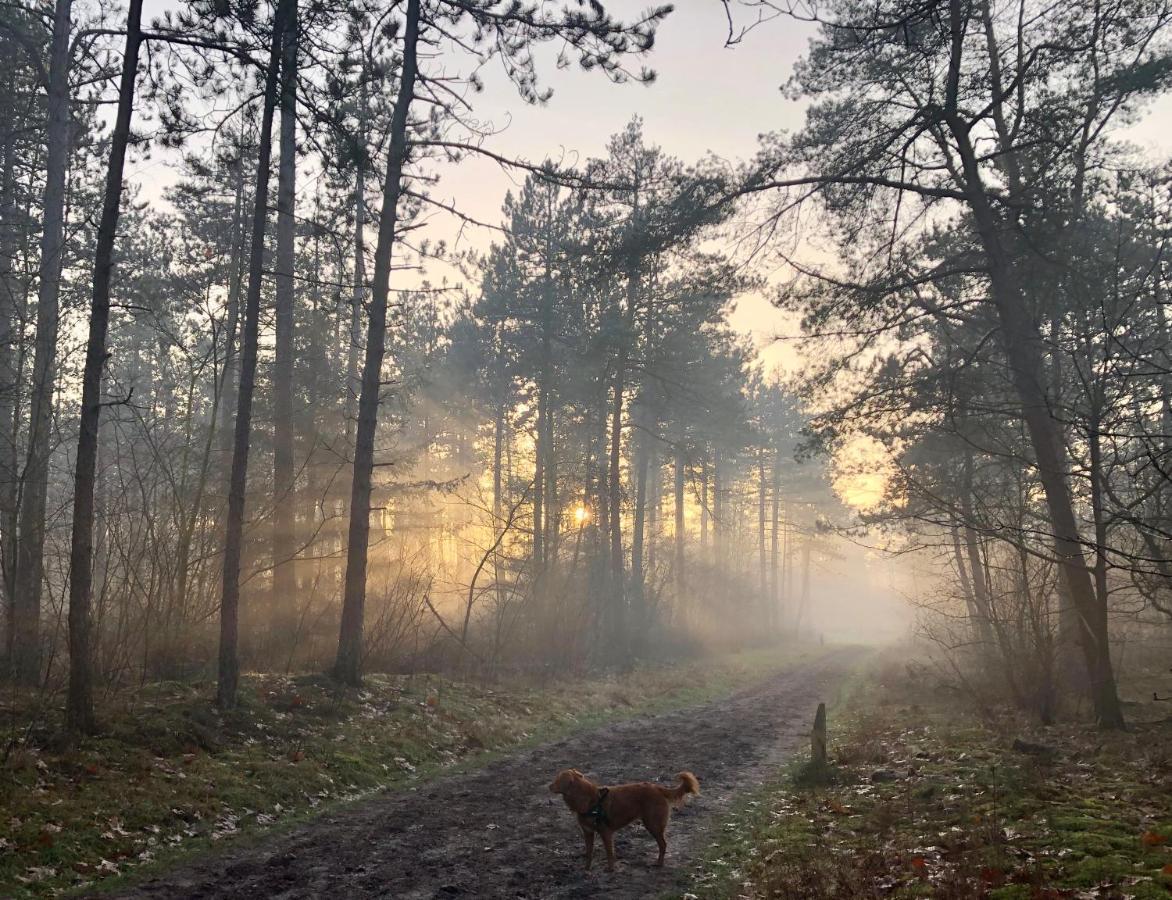 Het Natuurhuisje Op De Veluwe Nunspeet Extérieur photo