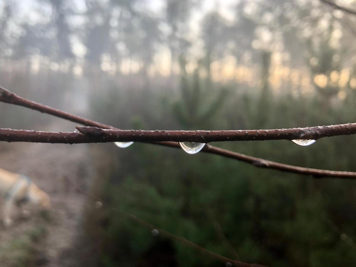 Het Natuurhuisje Op De Veluwe Nunspeet Extérieur photo