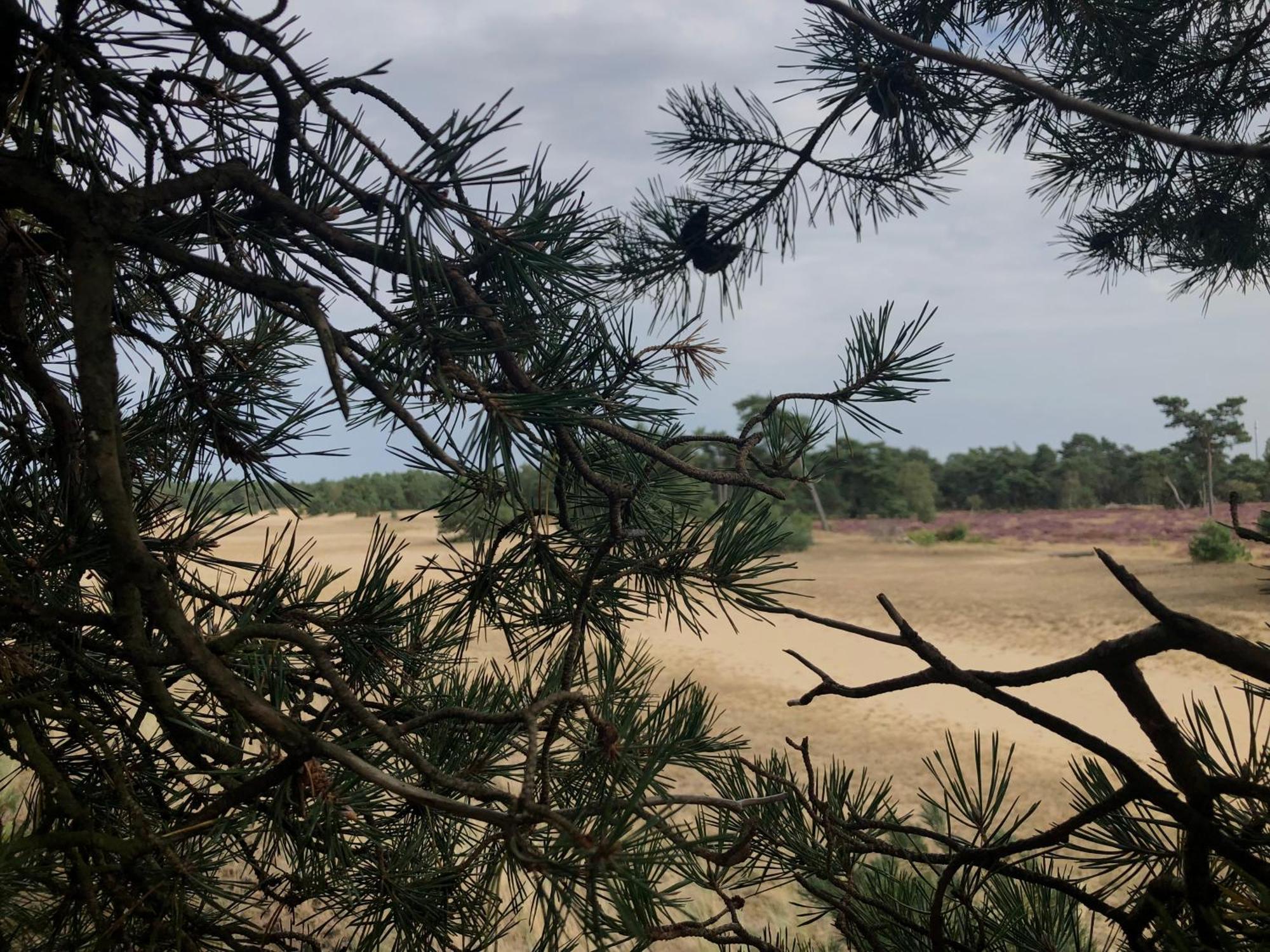Het Natuurhuisje Op De Veluwe Nunspeet Extérieur photo