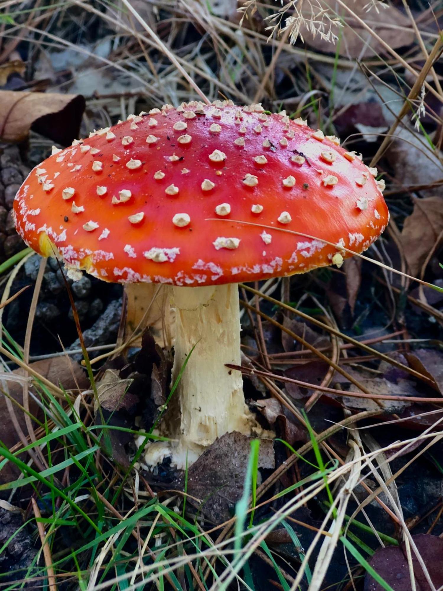 Het Natuurhuisje Op De Veluwe Nunspeet Extérieur photo
