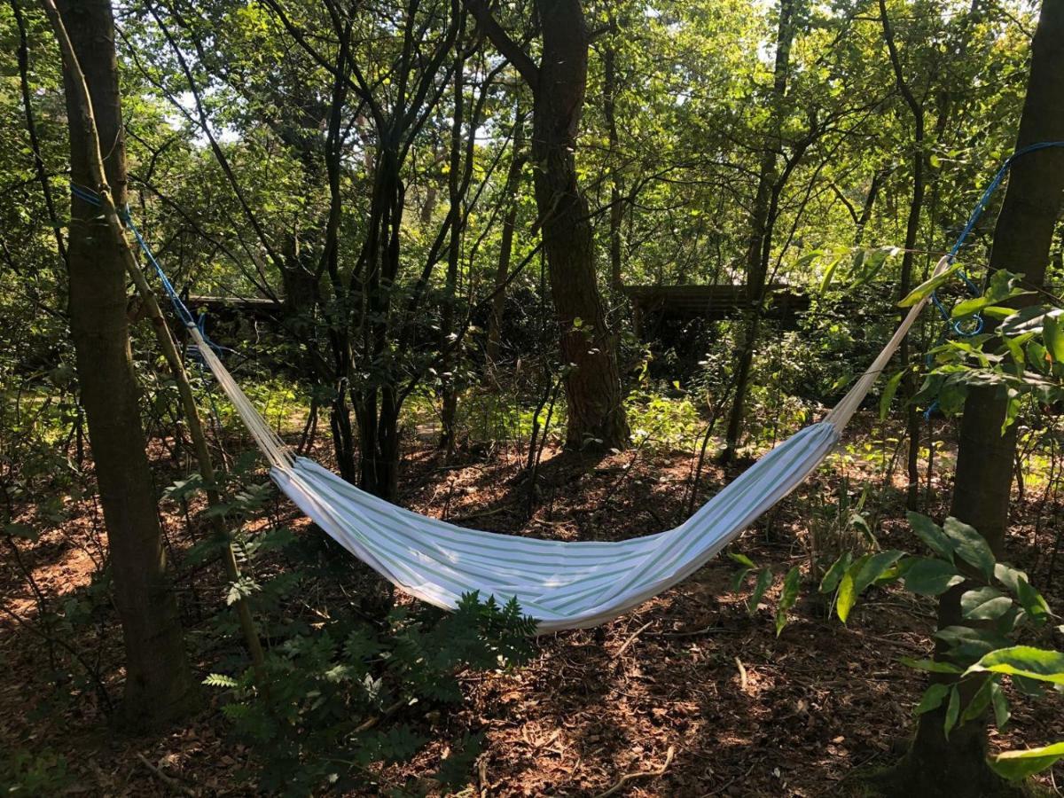 Het Natuurhuisje Op De Veluwe Nunspeet Extérieur photo